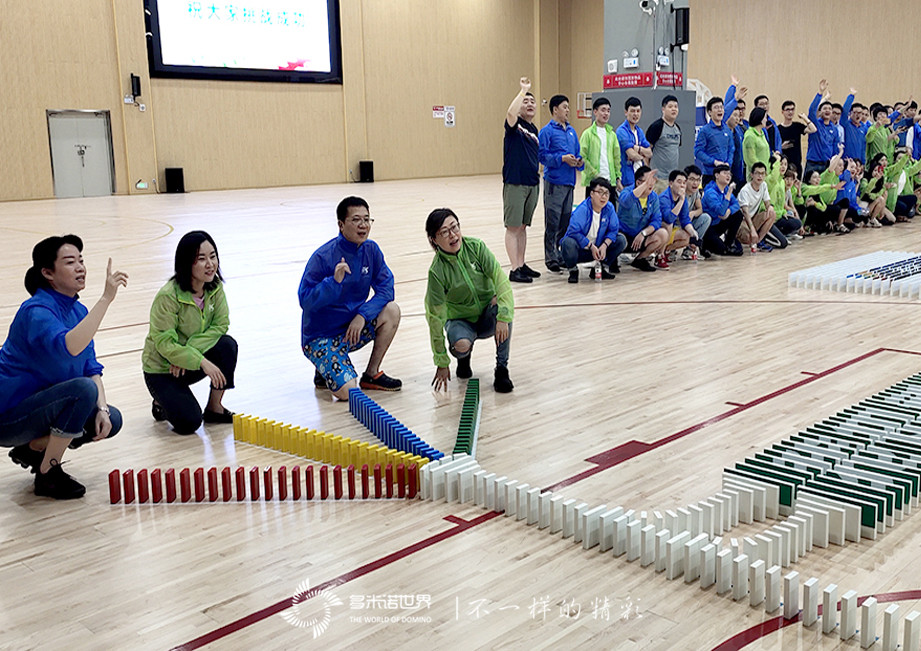 拜耳多米諾團隊大挑戰(zhàn)