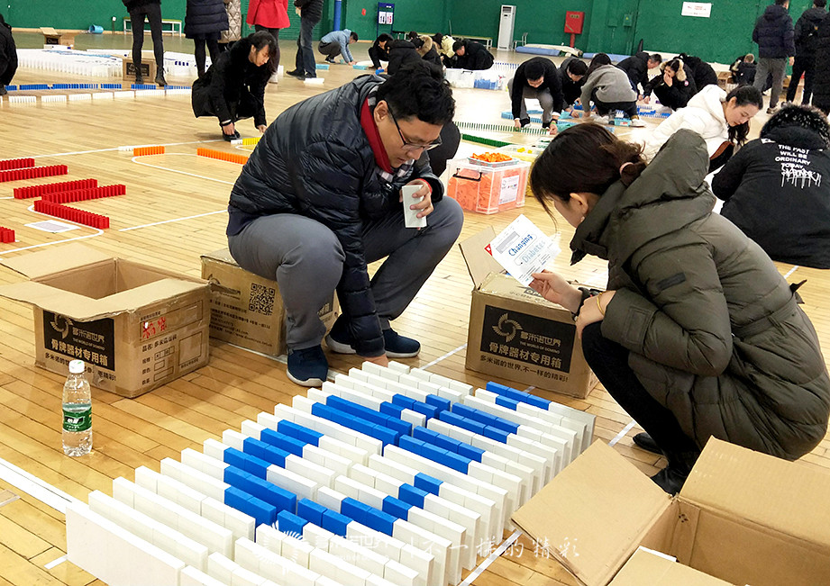 諾和諾德的多米諾世界之旅