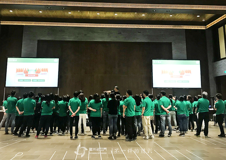 喜力，一次無與倫比的多米諾團(tuán)隊建設(shè)