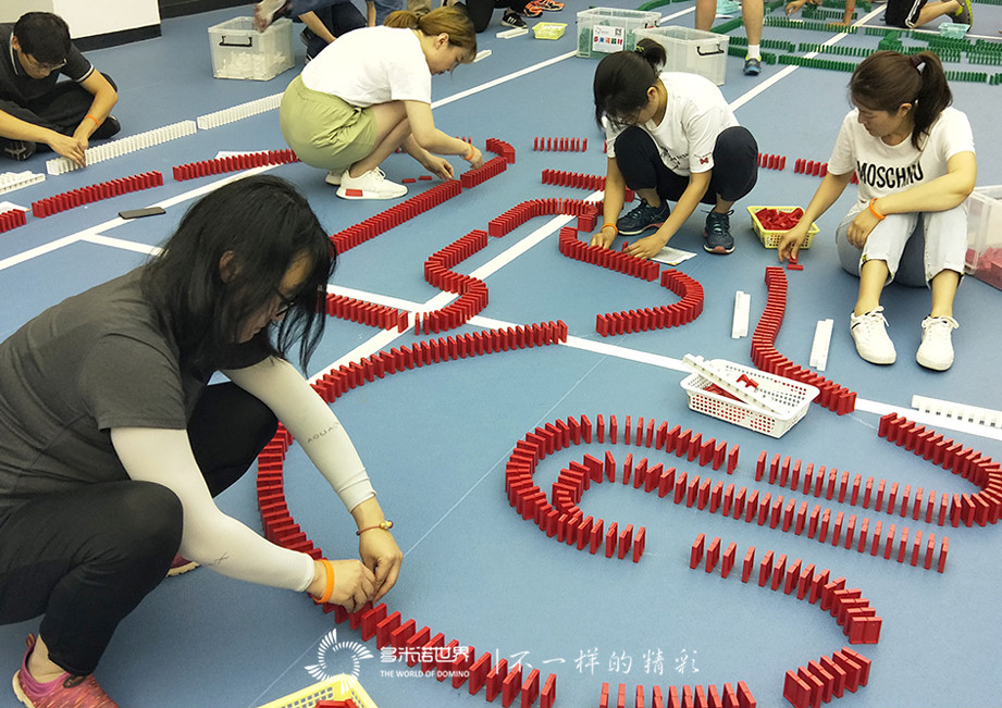 西門子多米諾團(tuán)隊(duì)大挑戰(zhàn)